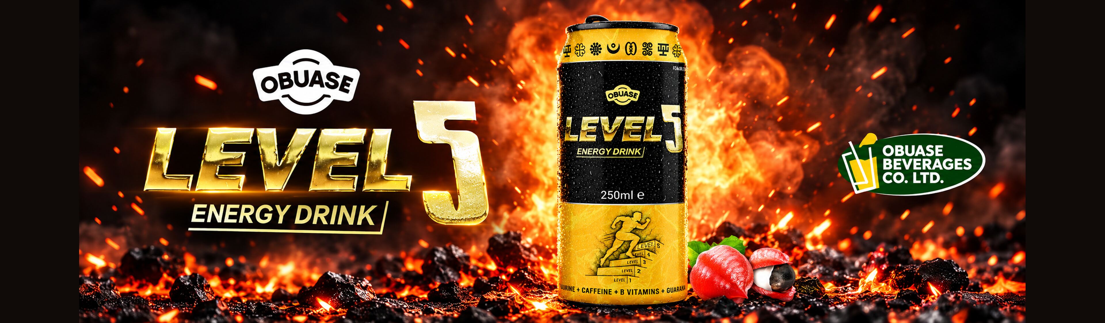 Level 5 Energy Drink